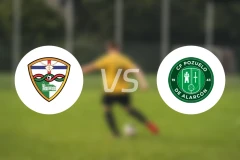 特里巴尔vs波卒埃洛比分预测【2026/02/15】