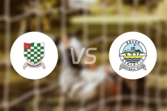 车斯曼vs多佛比分预测【2025/12/06】