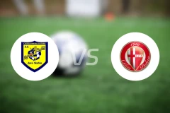 史泰比亚vs帕多瓦比分预测【2026/02/07】