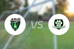 欧洲足球俱乐部vs猎犬队比分预测【2026/02/23】