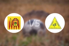 鲁塞维多利亚vs赫雅斯比分预测【2026/01/11】