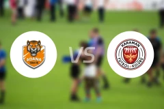 阿达纳1954vs卡拉曼比分预测【2026/02/15】