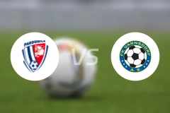 帕尔杜比斯B队vs渥恩斯多夫比分预测【2026/03/22】