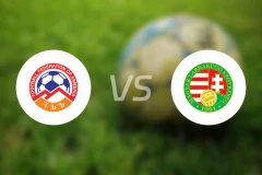 亚美尼亚vs匈牙利比分预测【2025/11/14】