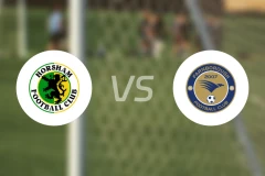 霍舍姆vs法恩堡比分预测【2025/12/31】