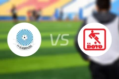 斯赫尔彭季尔vs杜禾比分预测【2026/03/14】