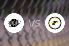 维也纳联vs延纳斯多夫比分预测【2025/11/17】