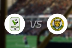 博尔古水牛vs达米萨比分预测【2026/01/04】