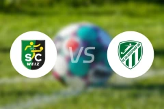 维兹vs格来斯多夫比分预测【2026/03/21】