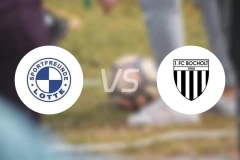 洛特vs波卓尔特比分预测【2024/10/19】