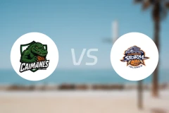 平原凯门鳄vs加勒比风暴岛比分预测【2025/11/02】