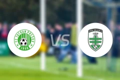 扑雷索夫vs斯卡利卡比分预测【2025/11/29】