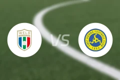 赫塔韦尔斯vs第一维也纳比分结果战报【2025/11/08】