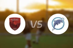 纳尔多vs曼弗雷多尼亚比分预测【2026/04/19】