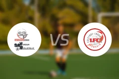 维丹vs埃格斯托夫比分预测【2025/11/16】