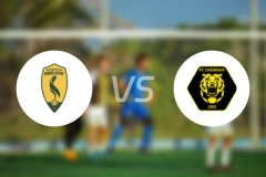 利维贝雷vs切尔尼夫比分预测【2025/11/12】