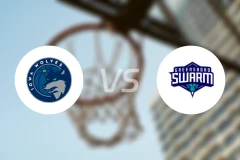 爱荷华狼队vs格林斯伯勒蜂群比分预测【2025/12/28】