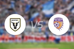 麦克阿瑟FCvs珀斯光荣比分预测【2024/10/20】