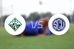 里贝拉vs凡恩尼斯比分预测【2026/03/22】