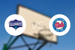 格林斯伯勒蜂群vs长岛篮网比分预测【2025/11/23】