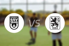 乌尔姆vs慕尼黑1860比分预测【2025/11/29】