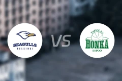 赫尔辛基海鸥vs洪卡比分预测【2026/01/31】