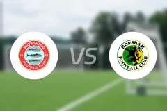 沃森vs霍舍姆比分预测【2026/01/17】