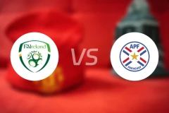 爱尔兰U17vs巴拉圭U17比分结果战报【2025/11/11】