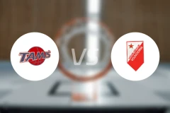 塔米斯vs伏伊伏丁那比分预测【2025/11/23】