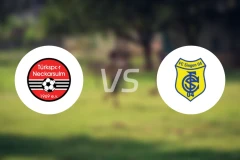 历卡苏尔姆vs辛根比分预测【2025/11/22】