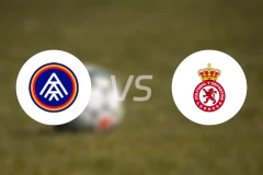 安道尔FCvs利安尼沙比分预测【2024/10/19】