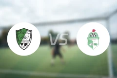 韦法克阿吉达比亚vs卡利杰星比分预测【2026/04/22】