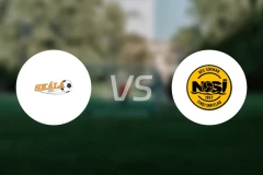 史卡拉vsNSI鲁纳维克比分预测【2024/10/20】