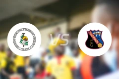 维米诺vs卡斯特洛比分预测【2026/01/18】