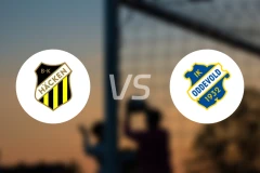 赫根vs奥迪沃特比分预测【2026/02/22】