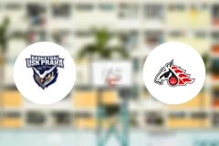 USK布拉格vs帕尔杜比采比分预测【2024/10/19】