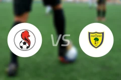 彭拿洛沙vs费坦奴比分预测【2024/10/19】