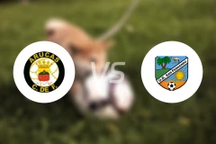 阿鲁卡斯vsUD圣费尔南多比分预测【2025/12/06】