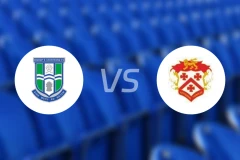 比夏史托福vs基特宁比分预测【2026/01/24】