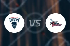 霍华德大学vs特拉华州立大学比分预测【2026/02/17】