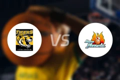 图寅根vs哈根比分预测【2026/01/11】