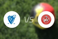 罗格尼兹vs维也纳维多利亚比分预测【2026/02/28】