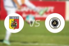 卡坦扎罗U19vs斯佩齐亚青年队比分预测【2026/02/21】