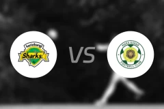 卡里班吉鲨鱼vs马拉糖足球俱乐部比分预测【2026/04/18】