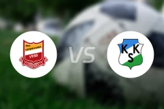 霍吉尼赞卡vs卡利什比分预测【2024/08/19】