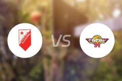 伏伊伏丁那vs卡卡94比分预测【2025/12/21】