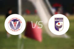 沃迪斯vs卡斯特尔苏鲁克比分预测【2025/11/22】