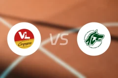 佩萨罗vs阿维利诺比分预测【2025/11/13】