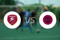 雷吉纳vs巴勒莫竞技比分预测【2025/11/16】