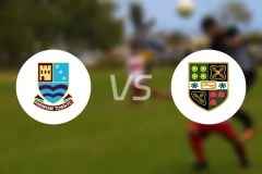 法纳姆城vs耶特城比分预测【2025/11/29】